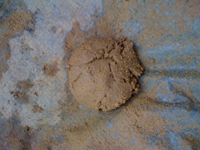 Sand - clay ball after drop test.  It held together just right!